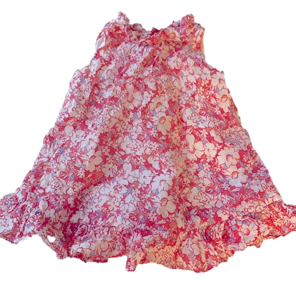 Ralph Lauren Baby Girls Dress 6M Pink Floral